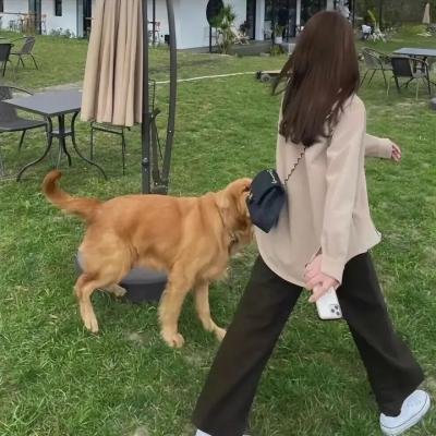 红粉舵爷